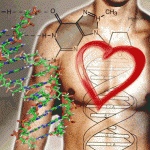 Genes y orientación sexual
