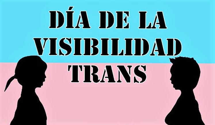dia visibilitat trans