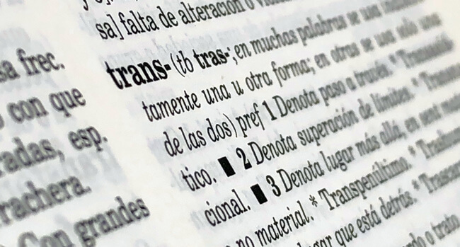 Trans word of the year Fundeu Gayles.tv