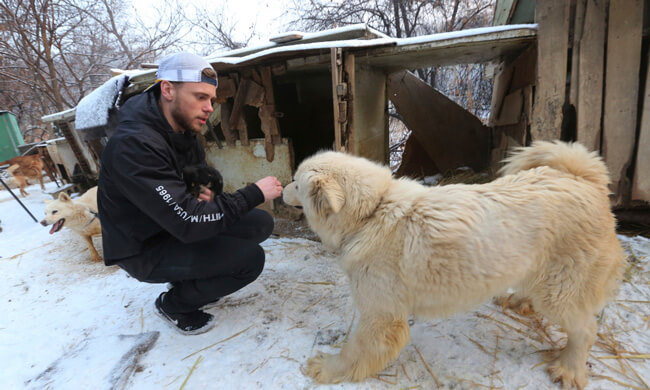 Gus Kenworthy saves 90 dogs that were going to be cooked