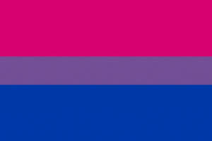 Bandera bisexual gaylestv