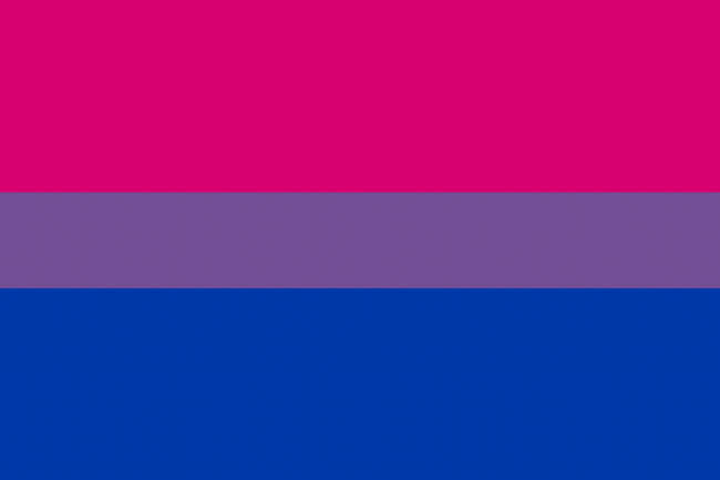Bandera bisexual gaylestv