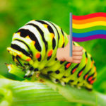 Delirante: «Un gusano que come semen causa la homosexualidad», según Mariam Al-Sohel