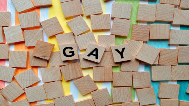 Origem da palavra gay