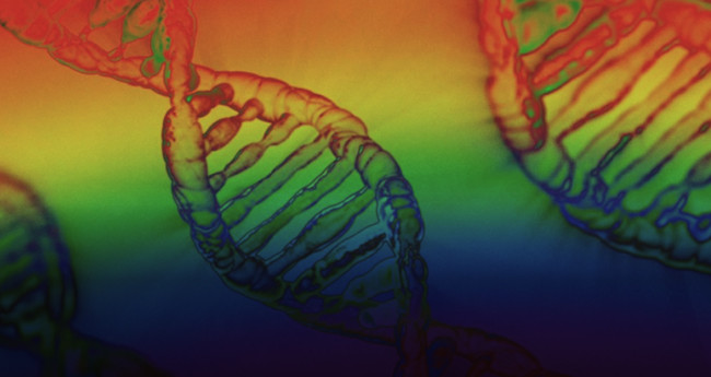 The largest study in history reveals that there is no single "gay gene"
