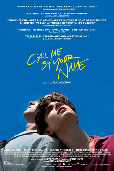 Call me by your name Netflix LGTB+ gai
