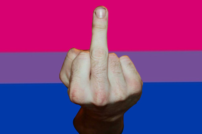 BiNetUSA Bisexuelle Flagge