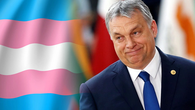 Hungary takes advantage of pandemic to cut transgender rights