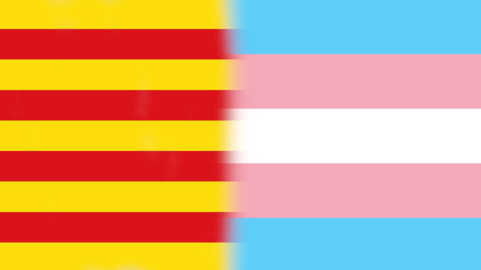 ERC propone en el Parlament impulsar una "ley trans" catalana