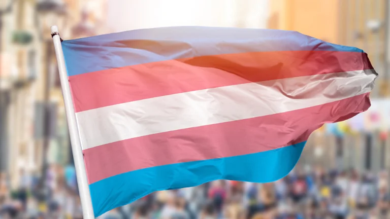 Vía libre a la tramitación de la Ley trans