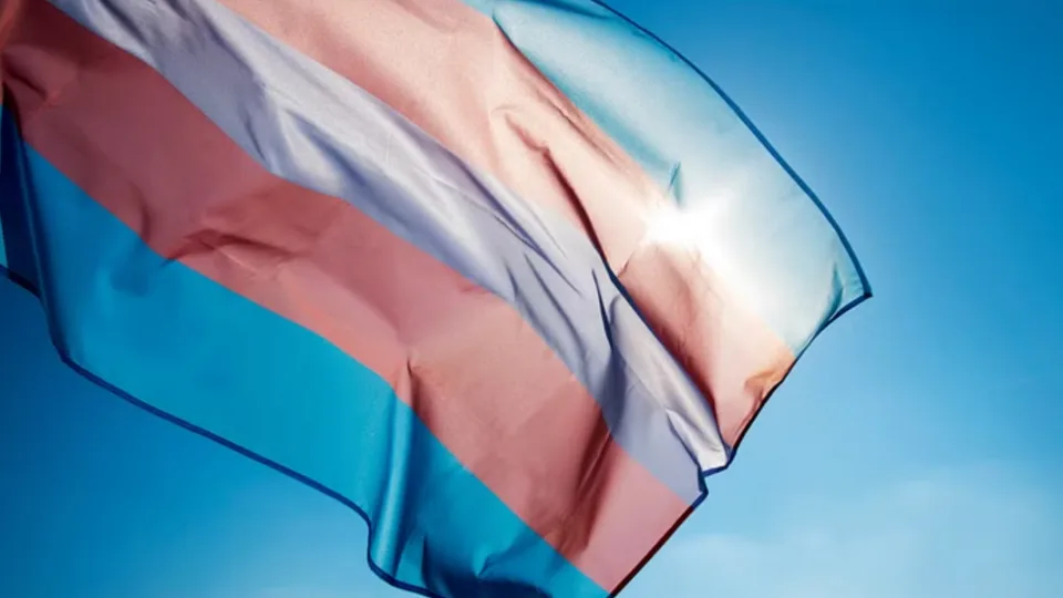 UN experts applaud the Trans Law