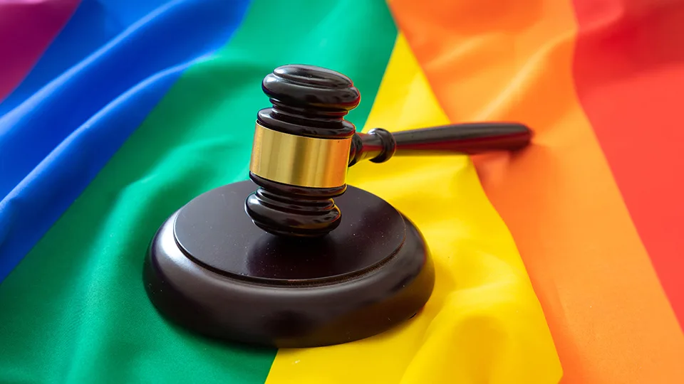 How does the LGTBI-Trans Law affect companies?