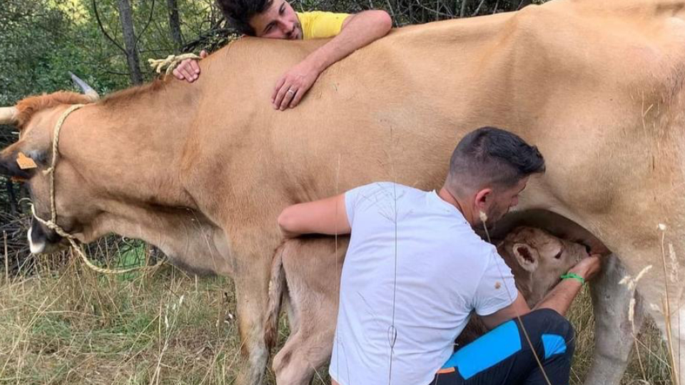 A rancher denounces suffering repeated homophobia in El Bierzo