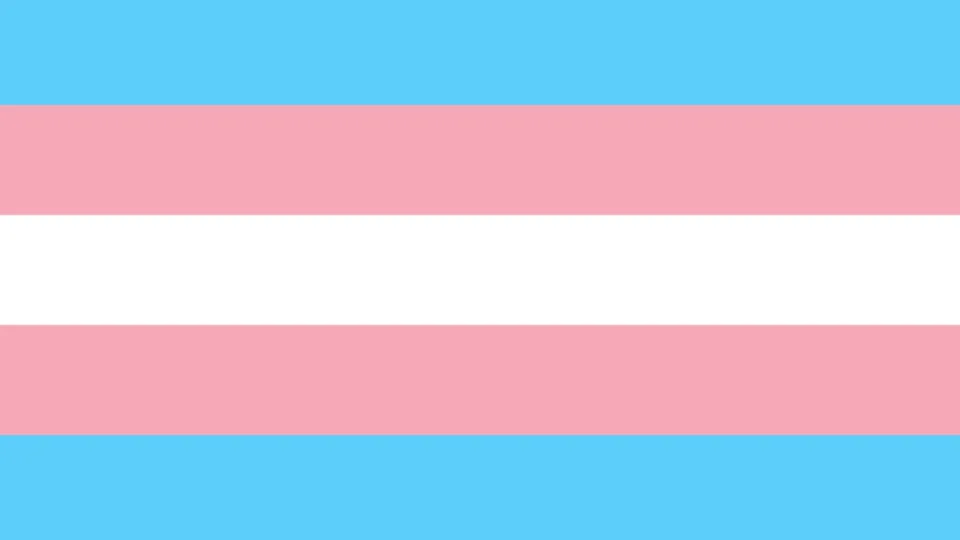 Un año de cárcel y 5 de alejamiento por insultos y amenazas a una transexual en Soria